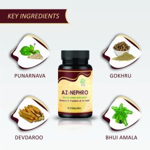 Kidney Stones