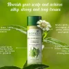 herbleafycom-biotique-bhringraj-therapeutic-hair-oil-for-strong-biotique-herbal-hair-oil