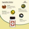 herbleafycom-charak-gumtone-herbal-powder-40g-pack-of-2-charak-toothpaste