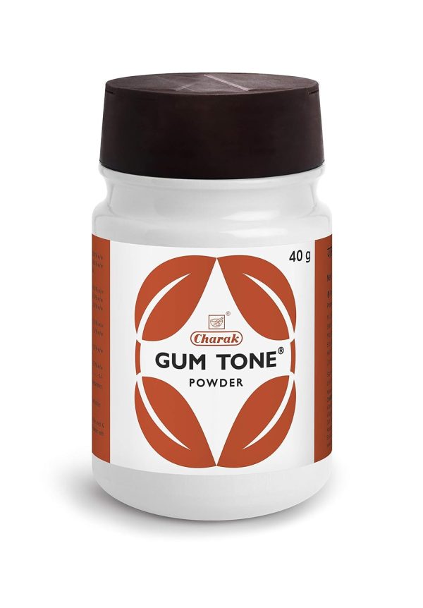 herbleafycom-charak-gumtone-herbal-powder-40g-pack-of-2-charak-toothpaste