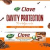 herbleafycom-dabur-herbl-clove-cavity-protection-toothpaste-200g-dabur-toothpaste