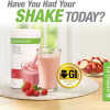 herbleafycom-herbalife-nutrition-formula-1-shake-strawberry-flavor-herbalife-weight-management