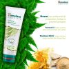 herbleafycom-himalaya-purifying-neem-pack-50g-herbal-face-pack-for-clear-and-healthy-skin-himalaya-purifying-neem-pack 1