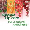 herbleafycom-himalaya-rich-cocoa-butter-lip-care-lip-balm-natural-lip-himalayacare-lip-balm