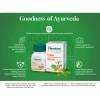 herbleafycom-himalaya-wellness-pure-herbs-tulasi-respiratory-wellness-himalaya-tulasi-respiratory-wellness