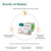 herbleafycom-himalaya-wellness-shallaki-bone-and-joint-wellness-tablets-60-count-himalaya-joint-wellness-tablets