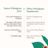 herbleafycom-kapiva-wheatgrass-juice-herbal-supplement-to-detoxify-liver-kapiva-wheatgrass-juice