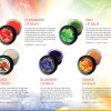herbleafycom-vaadi-herbals-assorted-lip-balm-pack-of-5-10g-each-vaadi-herbals-assorted-lip-balm